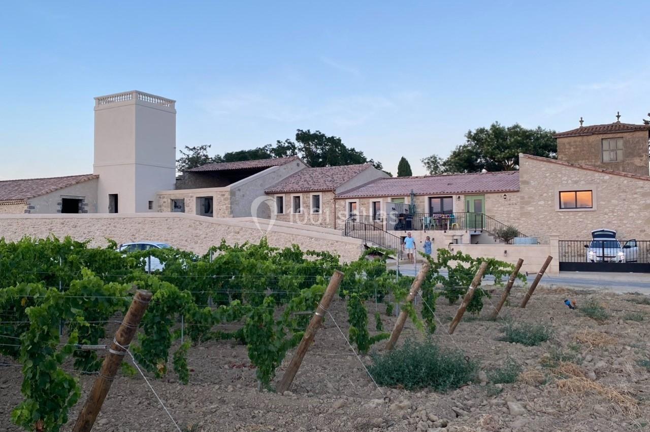 Bâtiments en pierre entourés de vignes sous un ciel dégagé en fin de journée.