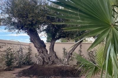 Entrée avec porte vitrée, mur végétal à droite, sol en béton et éclairage au sol.