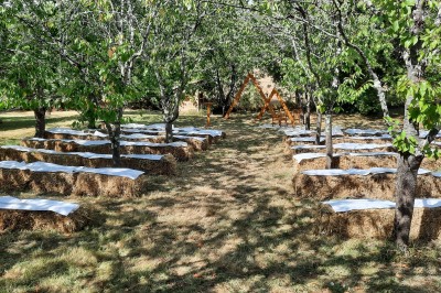 Petite voiture ancienne bleue avec toit ouvert, stationnée sur une pelouse près d'arbres et d'un bâtiment en arrière-plan.