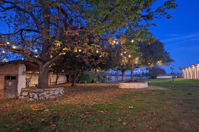 Petite voiture ancienne bleue avec toit ouvert, stationnée sur une pelouse près d'arbres et d'un bâtiment en arrière-plan.