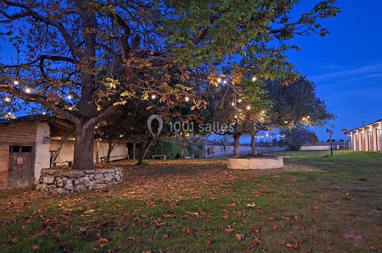 Jardin en soirée avec des arbres éclairés par des guirlandes lumineuses, feuilles au sol et bâtiments en arrière-plan.