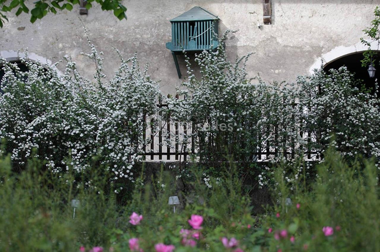 Façade ancienne avec balcon en bois turquoise, haie de fleurs blanches et parterre de roses au premier plan.