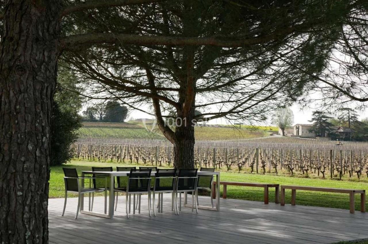 Terrasse en bois avec table et banc sous un arbre, donnant sur des vignes et un paysage rural.