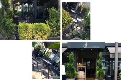 Assiette de dessert composée de meringues, éclats de caramel, feuilles de menthe et miettes de biscuit noir.