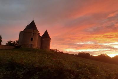 Vue d'un château en pierre entouré d'arbres et d'une pelouse bien entretenue sous un ciel dégagé.