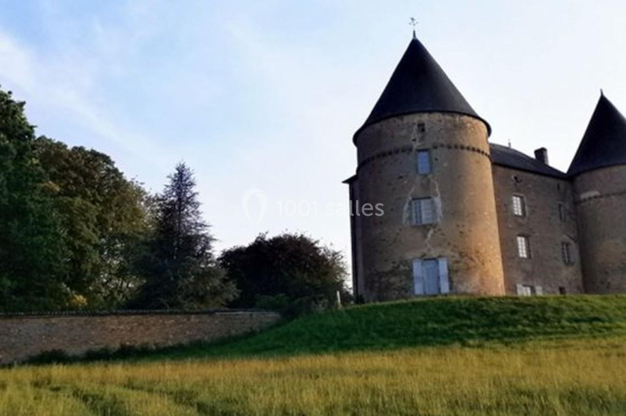 Château en pierre avec deux tours rondes, entouré de verdure et situé sur une colline herbeuse.