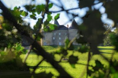 Vue d'un château en pierre entouré d'arbres et d'une pelouse bien entretenue sous un ciel dégagé.