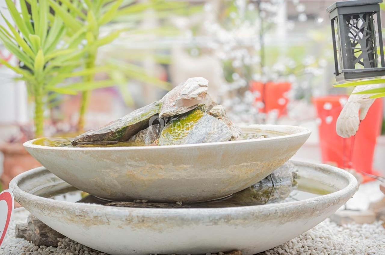 Fontaine décorative en pierre avec un léger écoulement d'eau, entourée de plantes et d'éléments décoratifs.