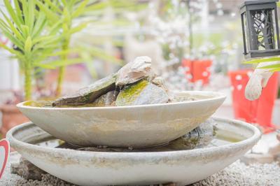 Chambre lumineuse avec lit double, tables de chevet, lampes, sol en bois clair et fenêtres donnant sur l'extérieur.