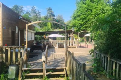Jardin verdoyant avec des palmiers, des pins et des buissons, baigné de soleil sous un ciel bleu clair.