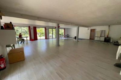 Jardin verdoyant avec des palmiers, des pins et des buissons, baigné de soleil sous un ciel bleu clair.