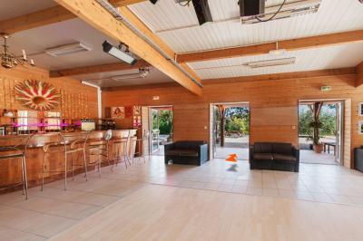 Jardin verdoyant avec des palmiers, des pins et des buissons, baigné de soleil sous un ciel bleu clair.