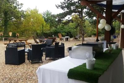 Jardin verdoyant avec des palmiers, des pins et des buissons, baigné de soleil sous un ciel bleu clair.
