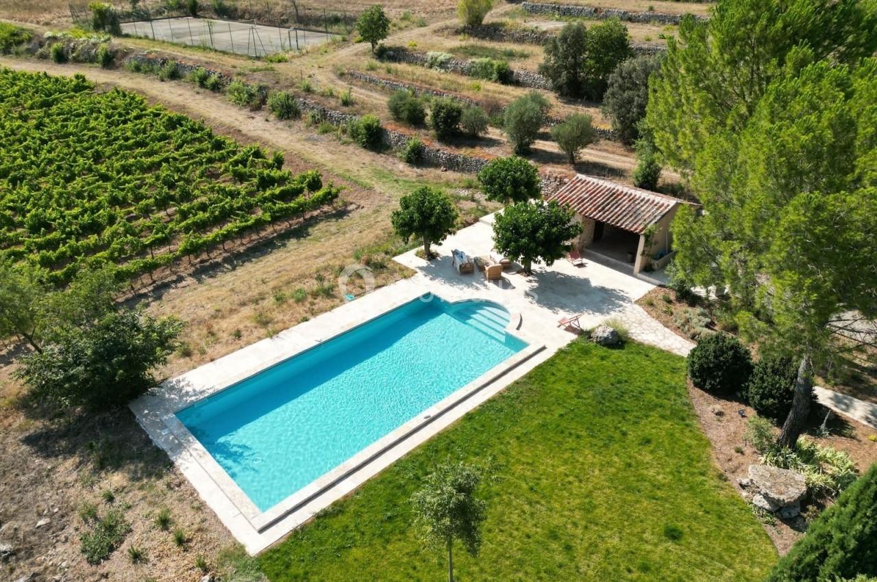 Vue aérienne d'une piscine entourée de pelouse, d'arbres et de vignes, avec une petite cabane en arrière-plan.