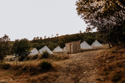 Un couple en tenue de mariage marche main dans la main dans un vignoble, la mariée levant un bouquet.