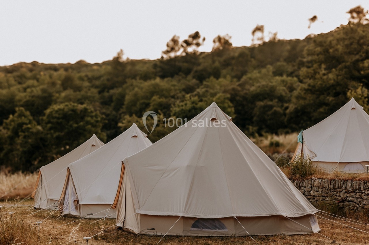 Tentes en toile beige installées dans un champ herbeux, entourées d'arbres et de collines en arrière-plan.