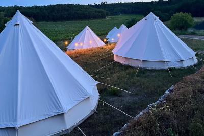 Un couple en tenue de mariage marche main dans la main dans un vignoble, la mariée levant un bouquet.