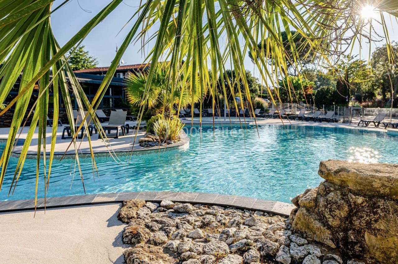 Piscine extérieure entourée de végétation, avec des chaises longues et une maison en arrière-plan.
