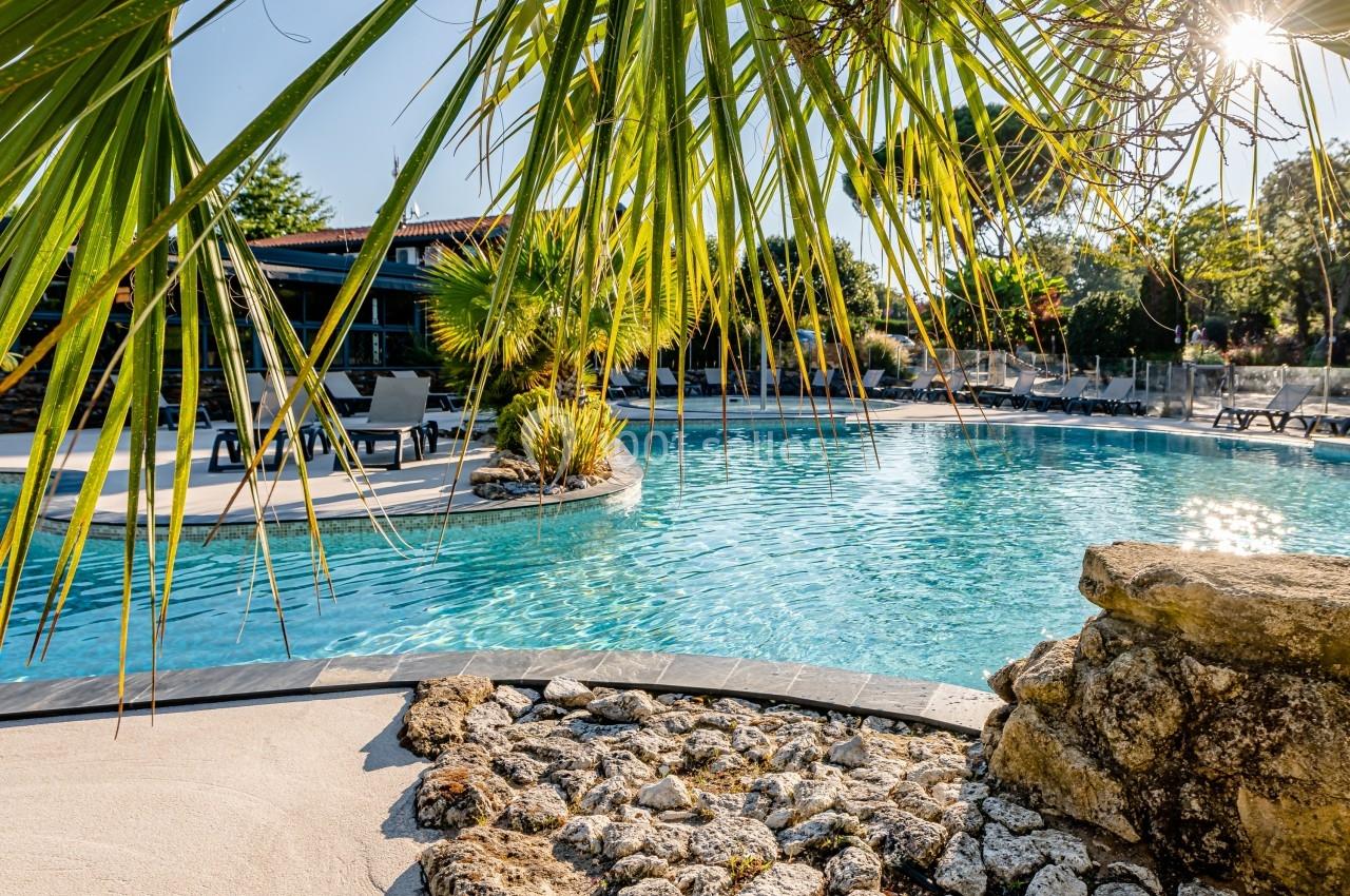Piscine extérieure entourée de végétation, avec des chaises longues et une lumière ensoleillée.