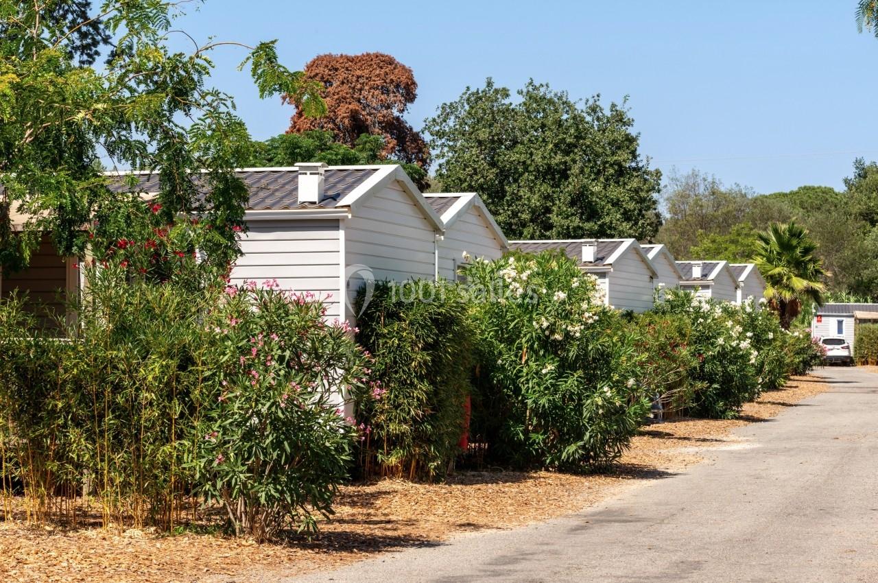 Alignement de mobil-homes blancs entourés de végétation et bordés d'une allée ensoleillée.
