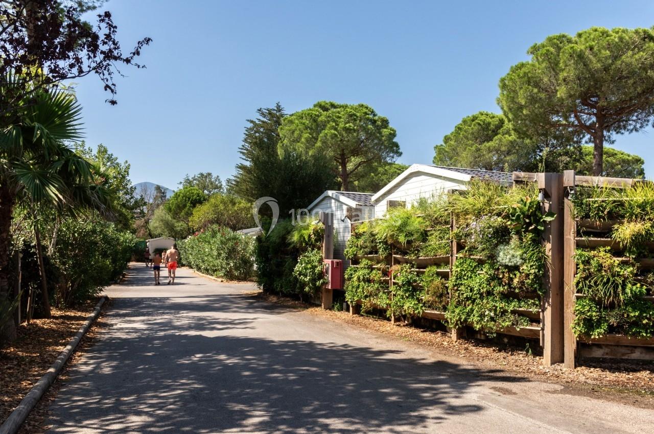Allée bordée de végétation et de maisons blanches sous un ciel dégagé, avec des personnes marchant au loin.