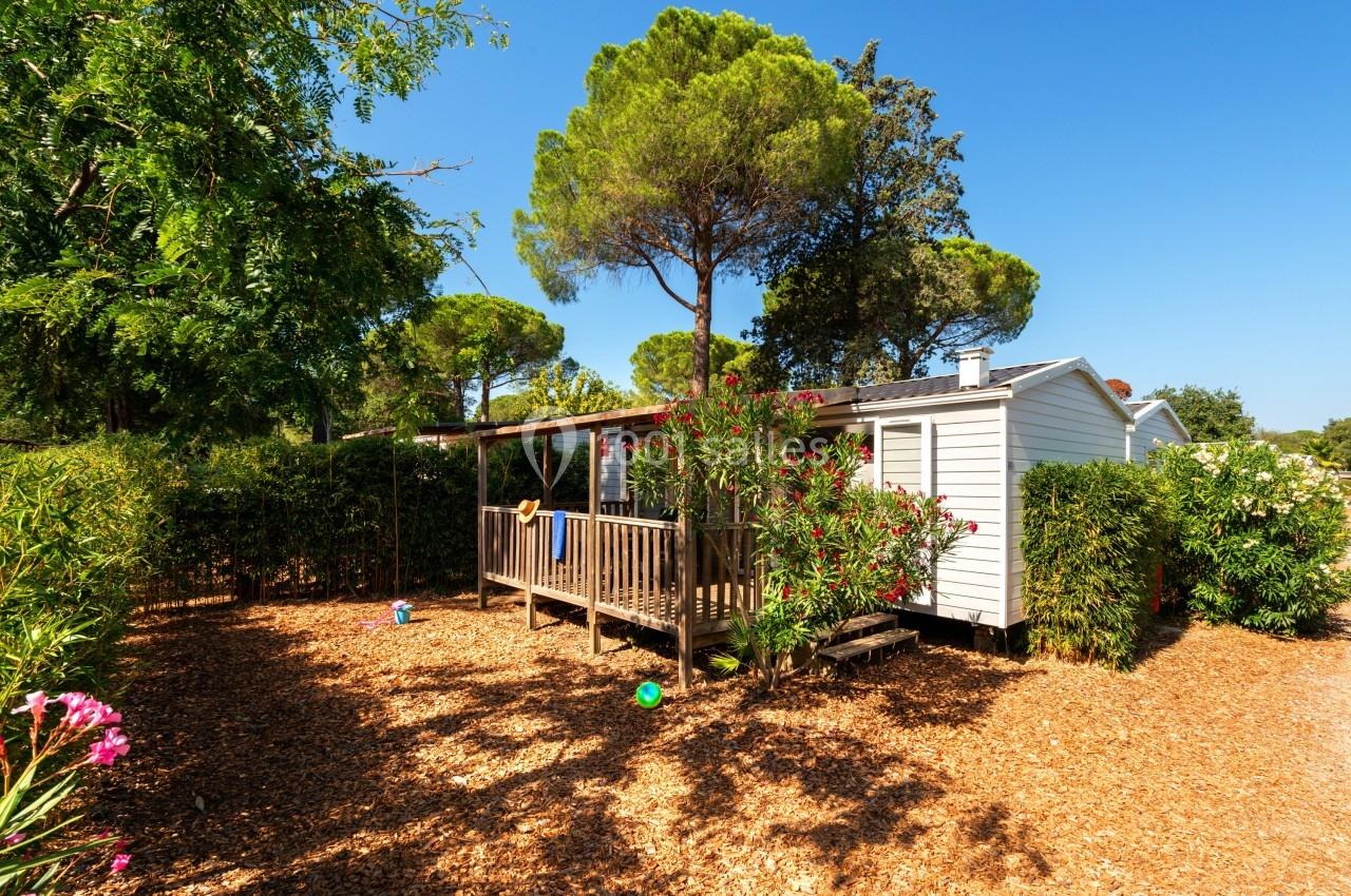 Mobil-home entouré de végétation avec terrasse en bois, situé dans un environnement ensoleillé et arboré.
