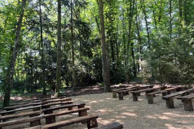 Panneau ’Welcome to our happy place’ fixé à un arbre entouré de lierre dans une forêt.