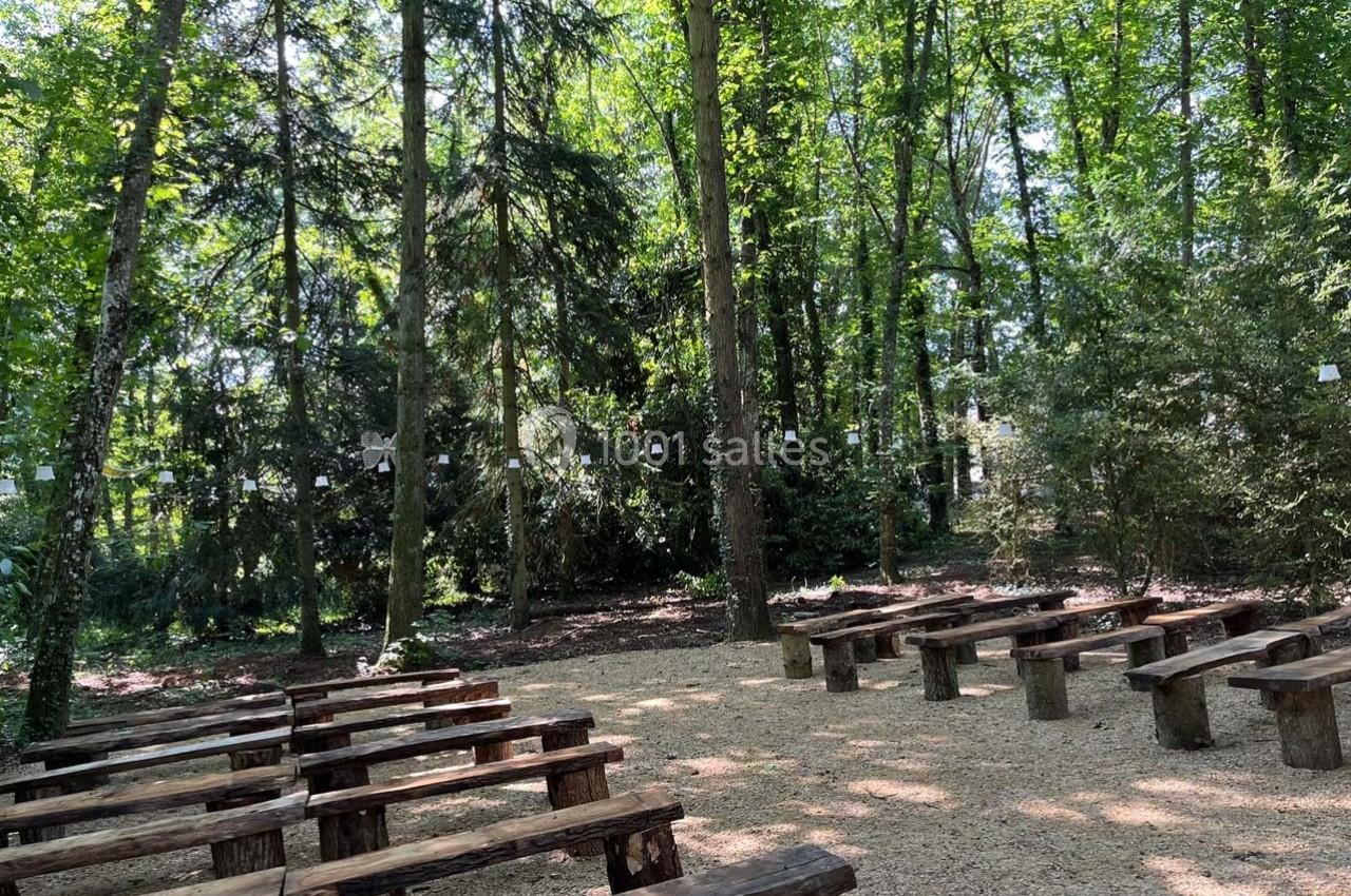 Bancs en bois disposés en rangées dans une clairière forestière, entourés d'arbres et éclairés par une lumière naturelle.