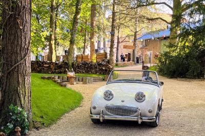 Panneau ’Welcome to our happy place’ fixé à un arbre entouré de lierre dans une forêt.