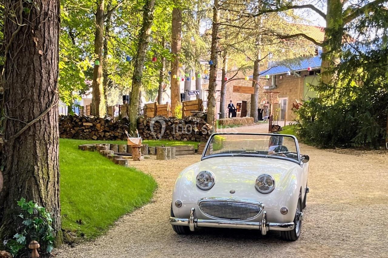 Voiture décapotable classique blanche garée sur une allée gravillonnée entourée d'arbres et de verdure.