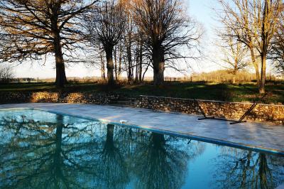 Tables dressées avec nappes blanches et décoration florale sur une terrasse ensoleillée, avec des convives en arrière-plan.