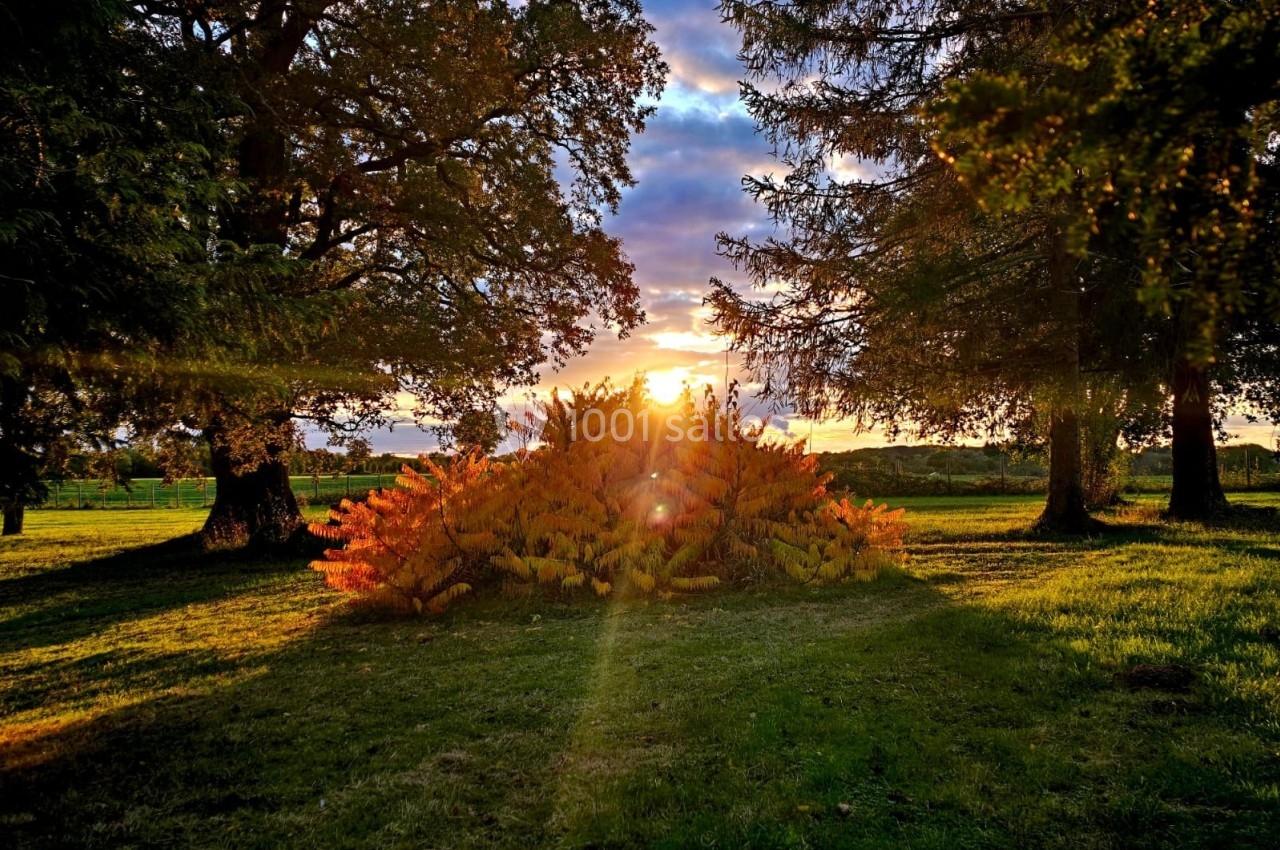 Coucher de soleil illuminant un buisson aux feuilles orangées, entouré d'arbres dans un paysage de prairie.