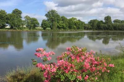 Baby-foot en bois clair avec pieds noirs, situé dans une pièce au sol sombre et murs clairs avec une porte grise.