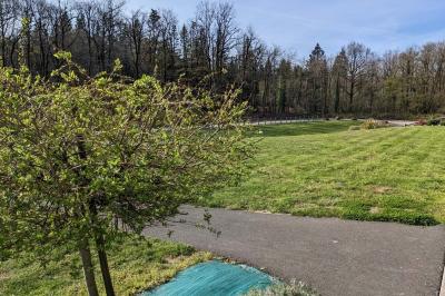 Assiettes dressées avec des roulés de volaille, légumes râpés et décorations de sauce, en préparation en cuisine.