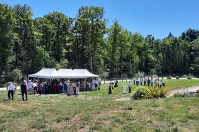 Assiettes dressées avec des roulés de volaille, légumes râpés et décorations de sauce, en préparation en cuisine.