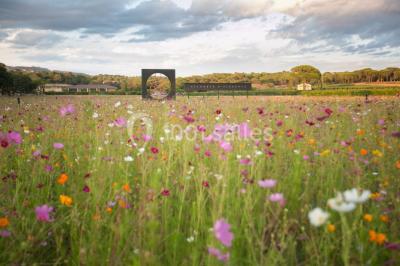 Clos Des Roses Clos Des Roses