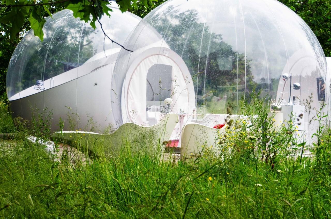 Deux bulles transparentes installées dans un cadre naturel verdoyant avec des herbes hautes et des arbres.