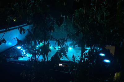 Extérieur d'une maison avec façade sombre, mobilier en osier et peaux, entourée de verdure et de bambous.