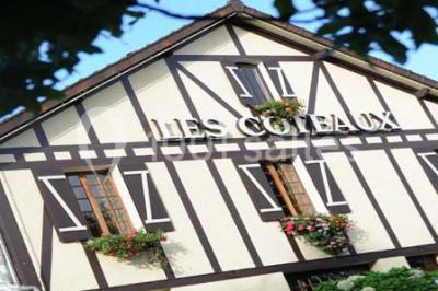 Miniature Location salle Boisemont (Val-d'Oise) - Auberge Les Coteaux #6 Location salle Boisemont (Val-d'Oise) - Auberge Les Coteaux #24