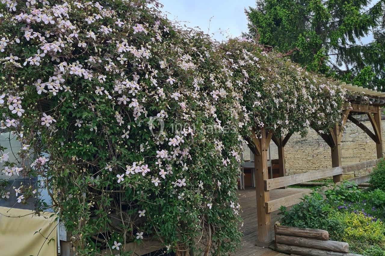 Pergola en bois recouverte de fleurs grimpantes roses, entourée de verdure et d'un jardin.