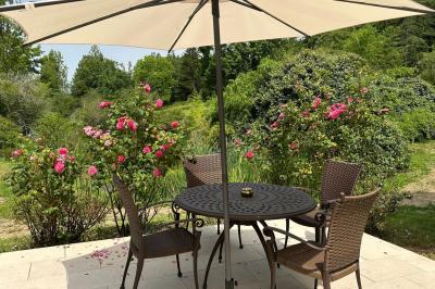 Piscine extérieure entourée de végétation, transats et parasols noirs, avec des rochers décoratifs au premier plan.