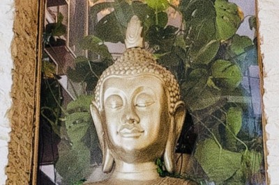 Miniature Location salle Thoiry (Yvelines) - Buddha Beach Thoiry #16 Mur végétal décoratif avec plantes tropicales, étagères circulaires, objets décoratifs et statue de Bouddha.
