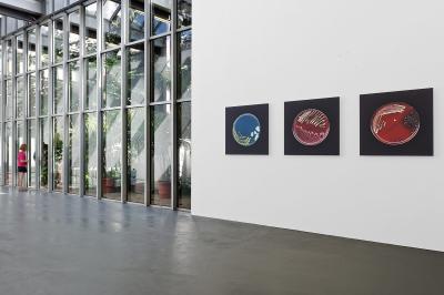 Location salle Villeurbanne (Rhône) - L'institut d'Art Contemporain IAC #5