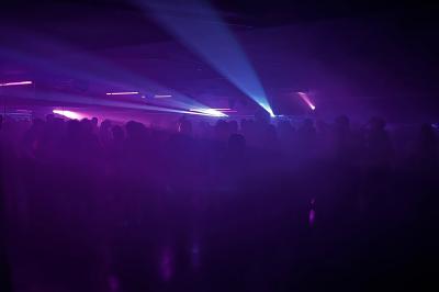 Table garnie de bouteilles de vin, verres, raisins noirs et noix, décorée avec des éléments naturels et boisés.