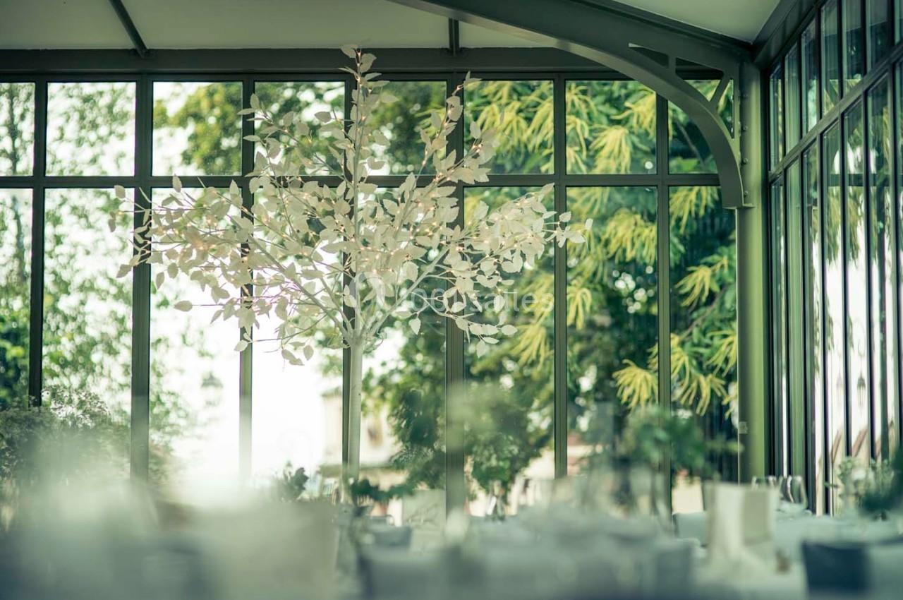 Salle lumineuse avec de grandes baies vitrées, décorée d'un arbre artificiel blanc et entourée de verdure extérieure.