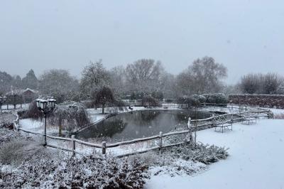Étang entouré d'arbres et de buissons sous la neige, avec un lampadaire et des bancs dans un paysage hivernal.