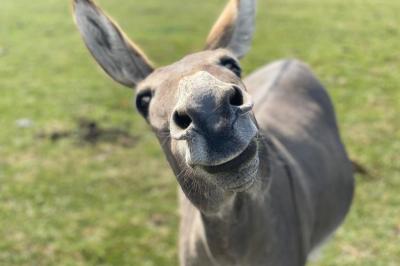 Étang entouré d'arbres et de buissons sous la neige, avec un lampadaire et des bancs dans un paysage hivernal.