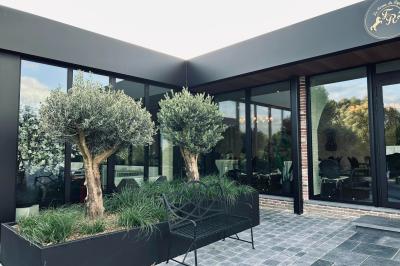 Un groupe de daims tachetés marche sur une pelouse verte devant une haie dense.