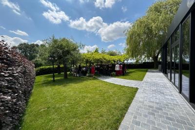 Un groupe de daims tachetés marche sur une pelouse verte devant une haie dense.
