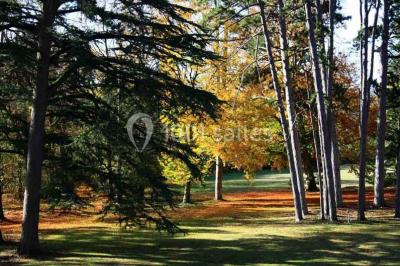 Location salle Paudy (Indre) - Château De Dangy #20